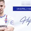 7677_welcome-web-hapal