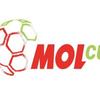 1781_mol-cup