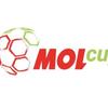 2271_molcup