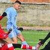 1776_slovan-b