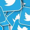 749_twitter-