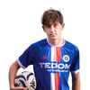 Viktor Sedlo