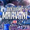 6597_dikymarvani-web