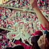 2_christin-noelle-f4cqfnqobka-unsplash