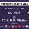 5955_vlasim1